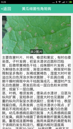 种好地免费正版下载安装