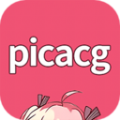 picacg绘画器